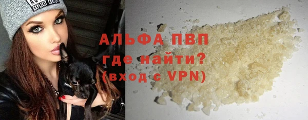 прущие грибы Майский