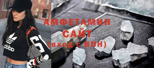 твердый Долгопрудный