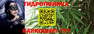 ешки Гагарин