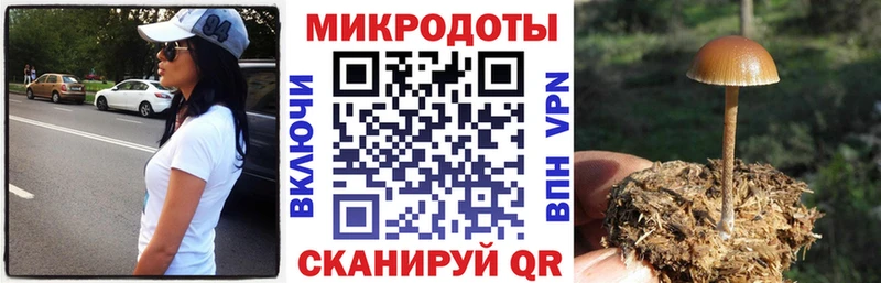 наркошоп  Новоалександровск  Псилоцибиновые грибы ЛСД 