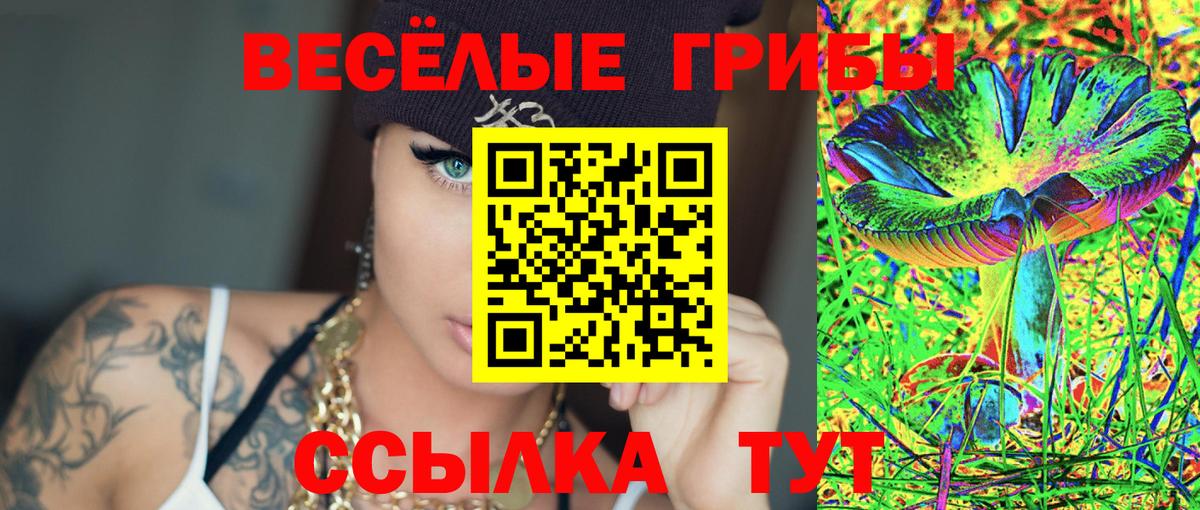 Галлюциногенные грибы Cubensis Новоалександровск