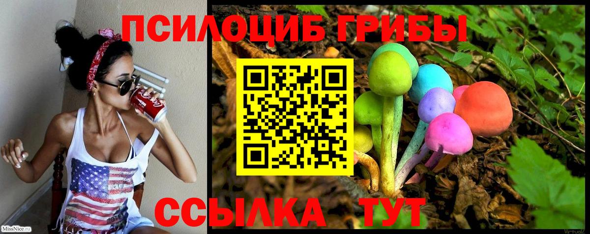 Псилоцибиновые грибы MAGIC MUSHROOMS  что такое   Вход с VPN  Новоалександровск  Галлюциногенные грибы ЛСД 