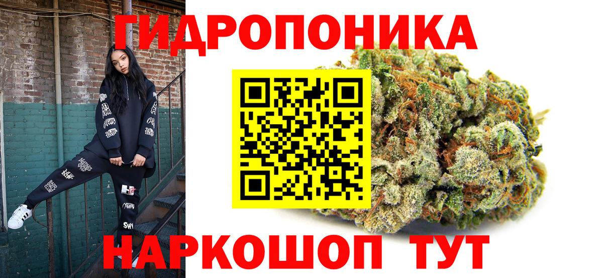 Каннабис OG Kush Новоалександровск